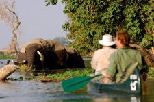 Zimbabwe-Mana Pools-Mana Pools & Hwange Safari Combo